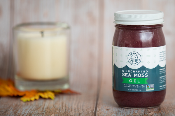 Sea Moss Makes your Skin Beautiful - It’s a Fact!