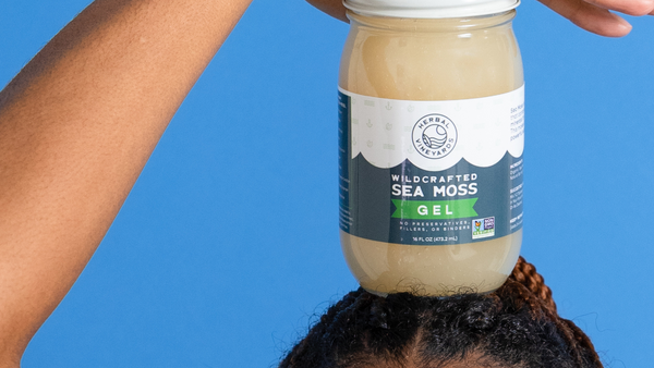 Can I Feed Sea Moss to My Dog?