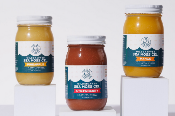 Discover Rejuvenation and Relaxation with Sea Moss Bath Soaks!