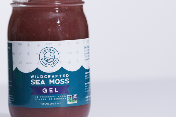 A Guide to Winter Detox with Sea Moss