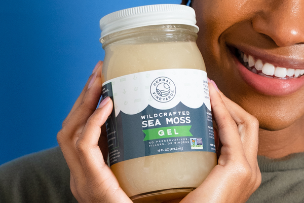Exploring the Treasure Trove of Vitamins & Minerals In Sea Moss