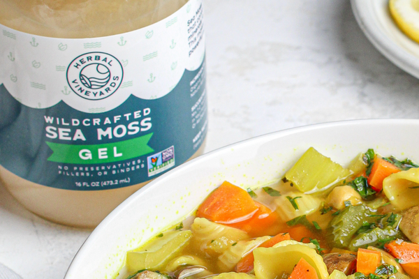 Sea Moss & Gut Health: Exploring the Connection