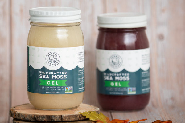 Sea Moss As A Vegan Alternative to Gelatin