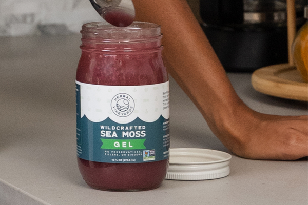 Sea Moss: A Game Changer for Food Security