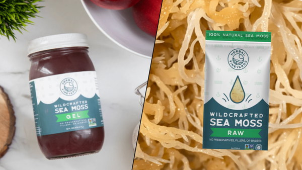 Sun-Dried vs Gel Sea Moss: Which One Should You Choose