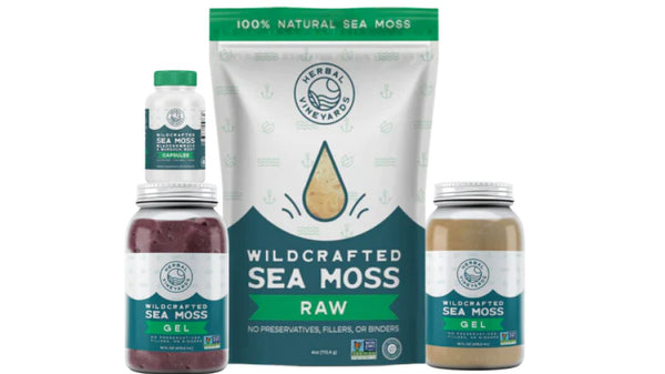 Sea Moss: A Secret To Mucus Relief